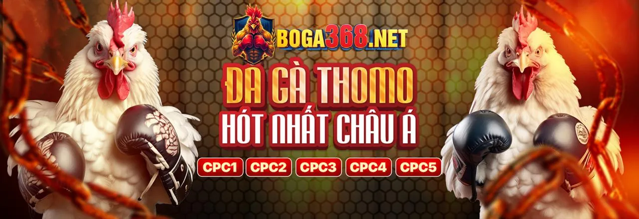 Tổng quan ngành cá cược trực tuyến và công nghệ tại qq88ok6